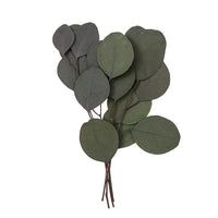 Stabiliziran evkaliptus Populus - zelena / 4 stebla, 20 cm