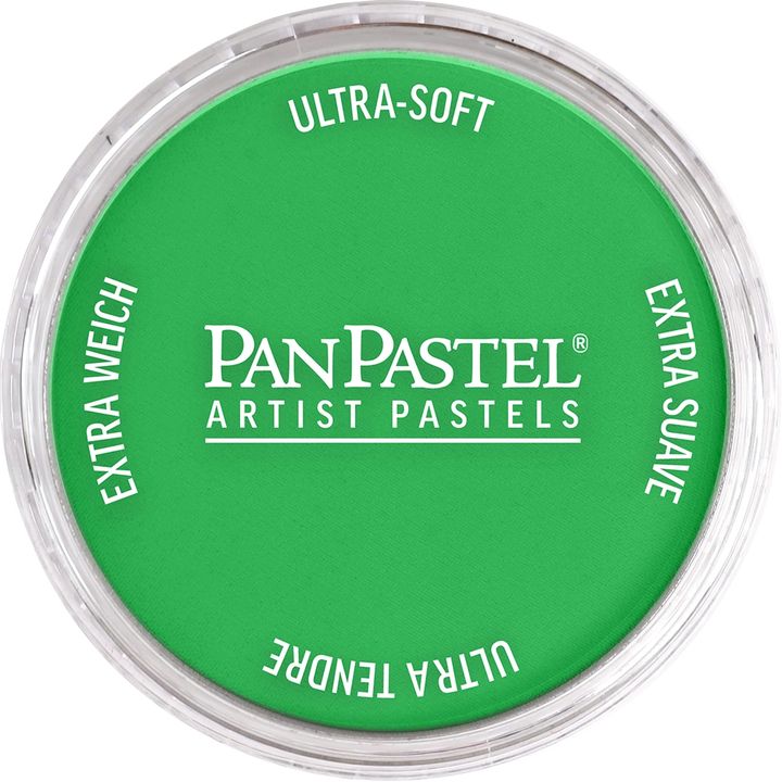 PanPastel Artist Pastelne barve – 640,5 Trajno zelena
