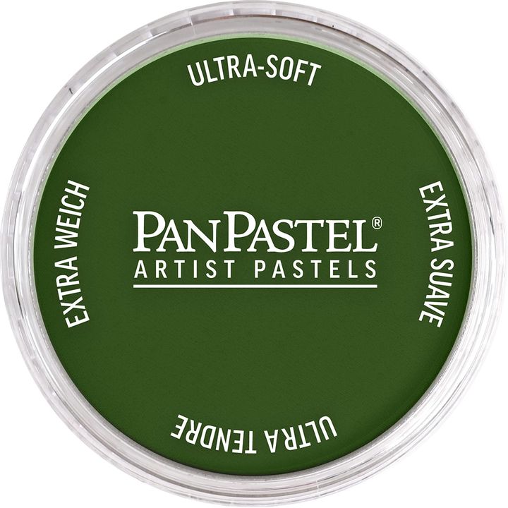 PanPastel Artist Pastelne barve – 660,5 Kromov oksid zeleni