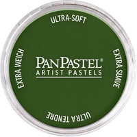 PanPastel Artist Pastelne barve – 660,5 Kromov oksid zeleni
