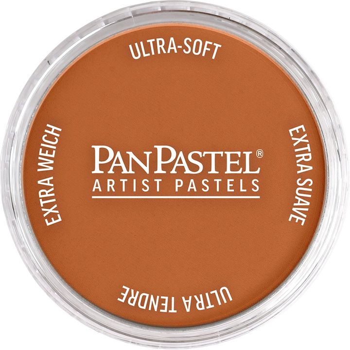 PanPastel Artist Pastelne barve – 740,5 Ožgana sienna