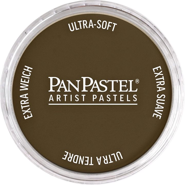 PanPastel Artist Pastelne barve – 780,5 Surova umbra