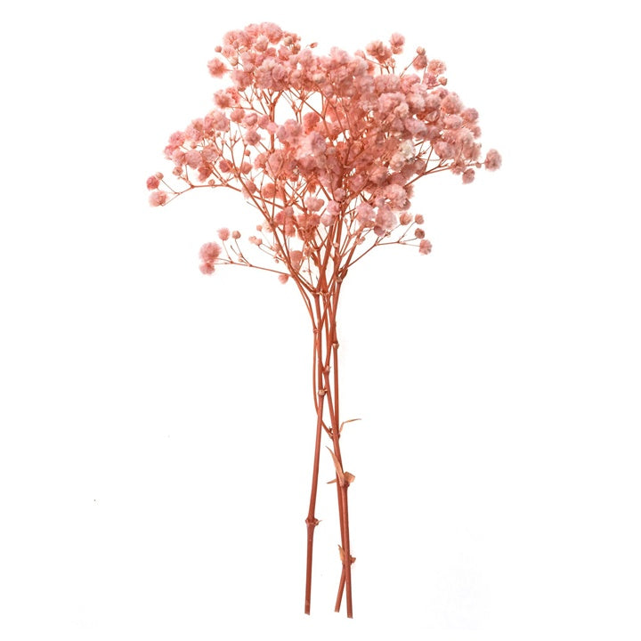 Svetlo roza gipsofila - 4 stebla, 20 cm