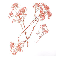 Svetlo roza gipsofila - 4 stebla, 20 cm – pogled 2