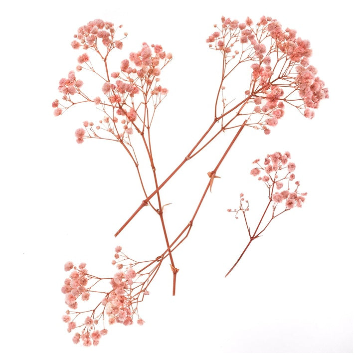Svetlo roza gipsofila - 4 stebla, 20 cm – pogled 2