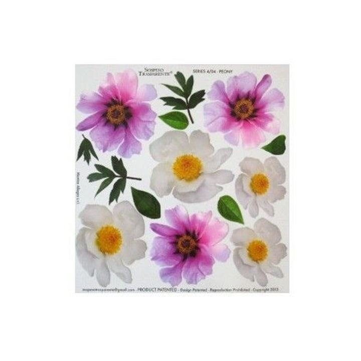 Termofolija za tehniko sospeso trasparente 23x24 cm Peony
