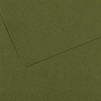 Toniran papir CANSON Mi-Teintes 50 x 65 cm – 160 g/m² – Bršljan 448