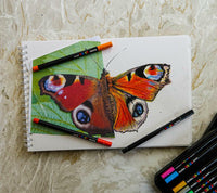 Posca KPA-100 24C voščeni pasteli, set, mešane barve