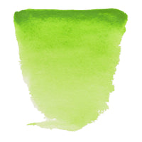 ROYAL TALENS Van Gogh akvarelna barva 10 ml Permanent Yellowish Green